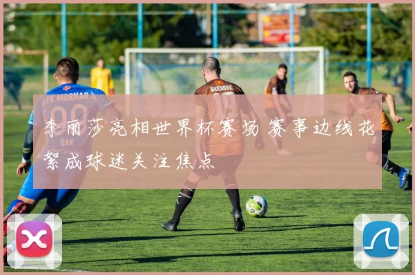 李丽莎亮相世界杯赛场 赛事边线花絮成球迷关注焦点