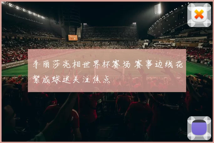 李丽莎亮相世界杯赛场 赛事边线花絮成球迷关注焦点