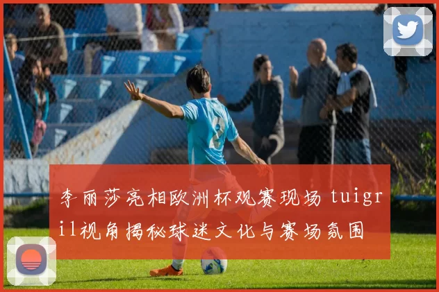 李丽莎亮相欧洲杯观赛现场 tuigril视角揭秘球迷文化与赛场氛围