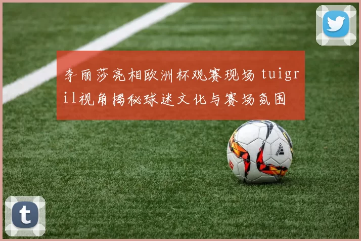 李丽莎亮相欧洲杯观赛现场 tuigril视角揭秘球迷文化与赛场氛围