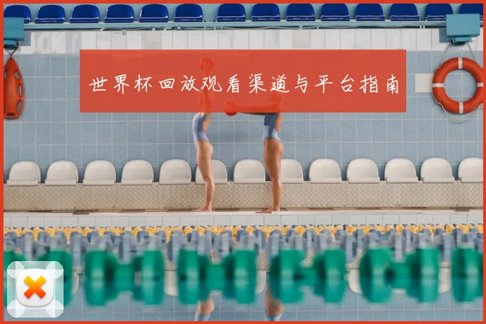 世界杯回放观看渠道与平台指南