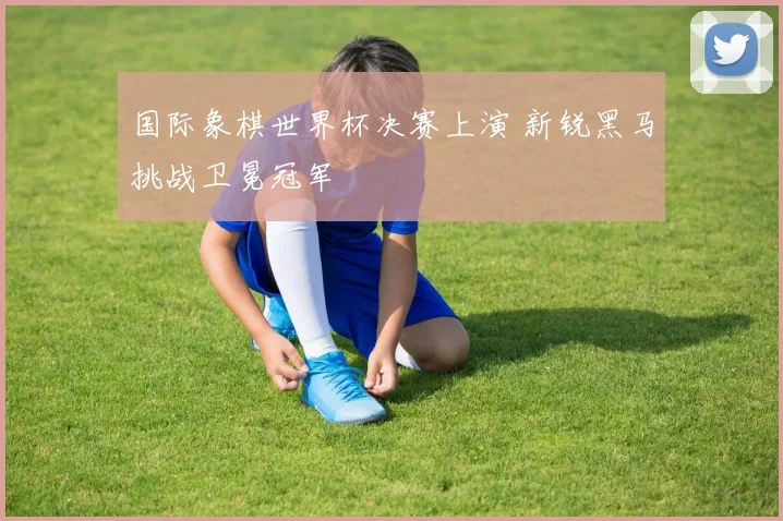 国际象棋世界杯决赛上演 新锐黑马挑战卫冕冠军