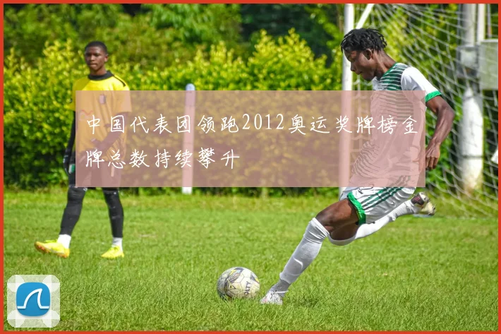 中国代表团领跑2012奥运奖牌榜金牌总数持续攀升