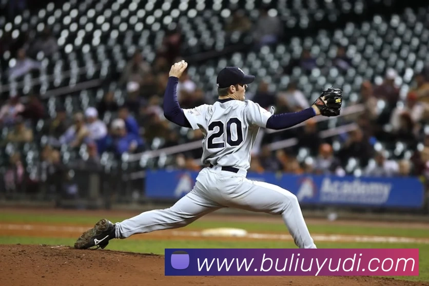 多媒体互动体验